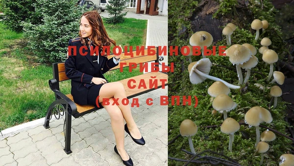 мдма Козельск