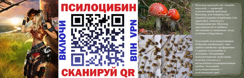 Псилоцибиновые грибы Psilocybe  Чаплыгин 